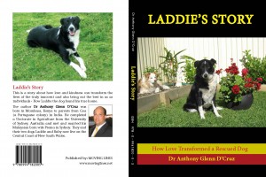 Laddies Story Book